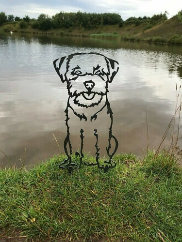 Border terrier rusty metal - terrier,