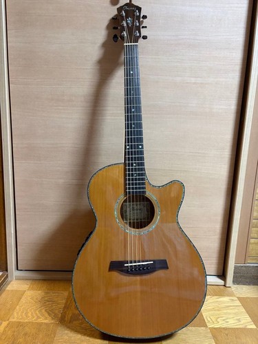 Ibanez aeg60se - ibanez, nt