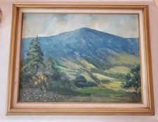 Vintage Original Mountain