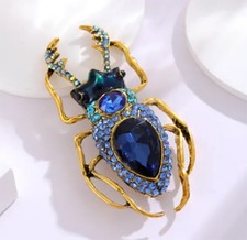 Beautiful Blue Jewelled Insect