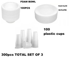 300 PCS White Foam Polystyrene