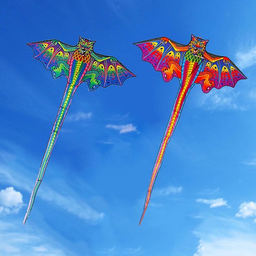 Dragon kite for - for, kids