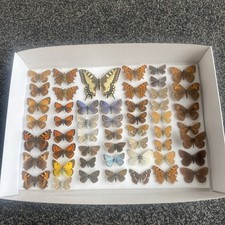 A COLLECTION OF 52 BRITISH &