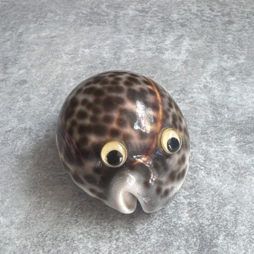 Sea shell figurine ornament - shell,