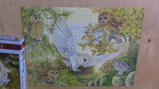 Padblocks Owls of Britain by