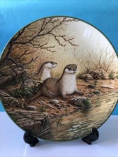 Otter Pair On River Bank -