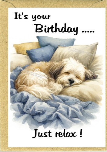 Havanese dog birthday card - havanese,