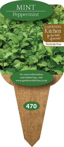 Mint peppermint 3 x - mint,