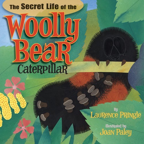 The secret life woolly - life,