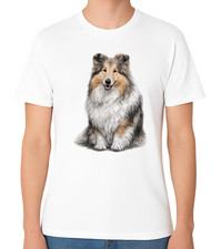 Shetland Sheepdog Fluffy Dog