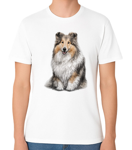 Shetland sheepdog fluffy - shetland,