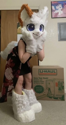 Silver cat full - cat, partial