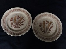 Vintage Churchill Homespun Stonecast - Dinner Plates x 2 - Cornfield Pattern VGC