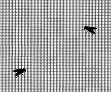 FINE BLACK FLEXIBLE PVC COATED