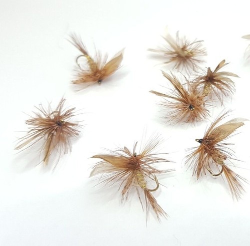 March brown classic dry fly - brown,