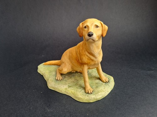 Border fine arts - fine, dog