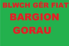 FIAT PUNTO EVO    RECON