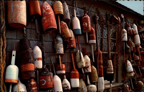Maine lobster buoys color - lobster,