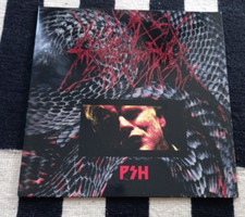 Voltigeurs Black Sunroof Skullflower Split EP Blackest Rainbow 1/333 Copies