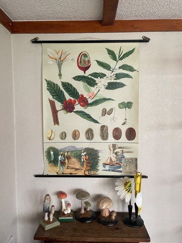 Vintage coffee school - school, chart