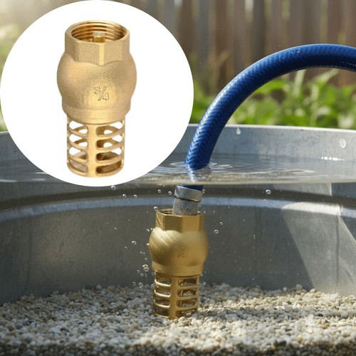 Robust brass foot valve - brass,