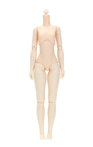 22cm obitsu body bust - obitsu,