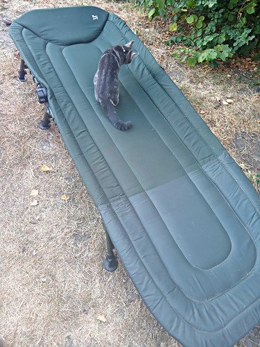 Nash outlaw deluxe bedchair - nash,