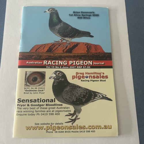 Australian racing pigeon - racing,