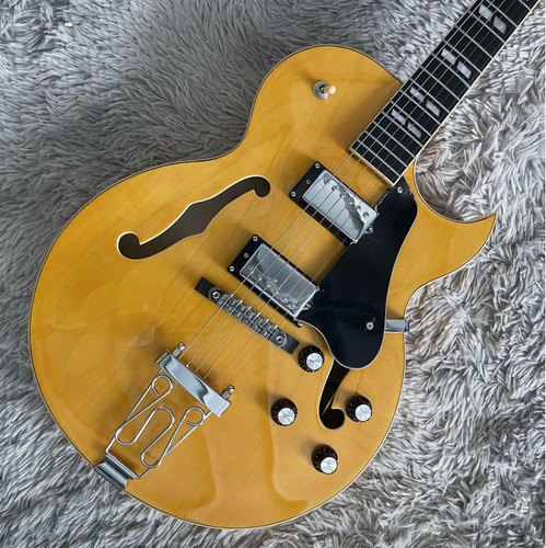 1975 175 nature electric - es-175,