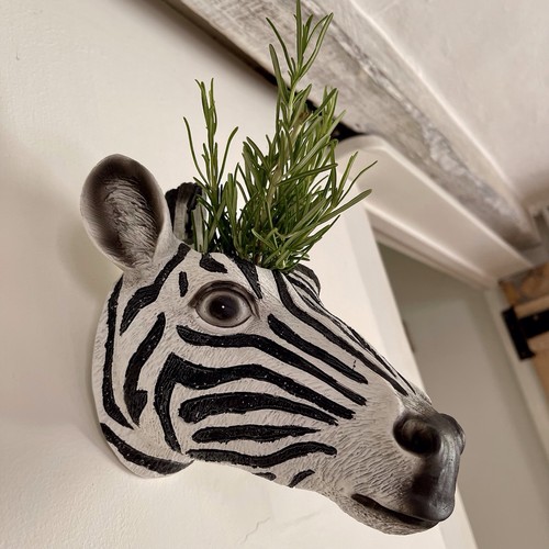 Kitsch zebra head - head, wall
