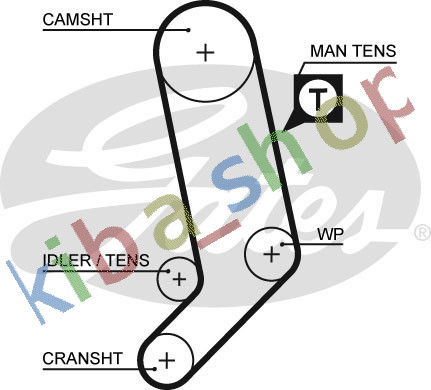 Timing set belt pulley - belt, +
