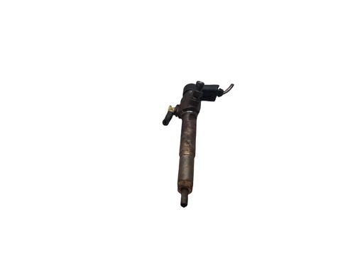 Renault megane fuel injector - renault,