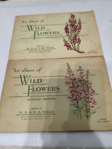 Album wild flowers - of,