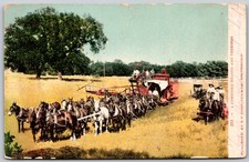 1906 Harvesting Scene Horse Drawn Equipment Thresher ANTIQUE Postcard 6043