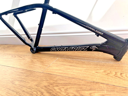 Santa cruz chameleon - cruz,
