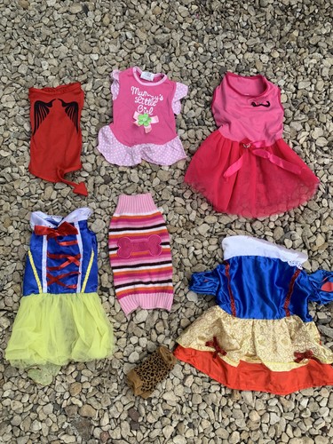 Bundle little dog - of, dressing