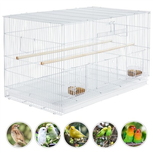 Flight cage wide bird - flight,