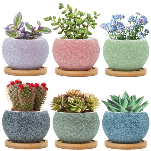 3inch ceramic pots - 3inch,