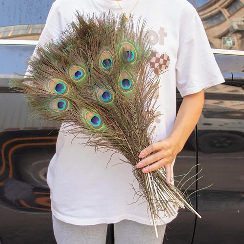 Peacock tail feathers - feathers, 25-30cm