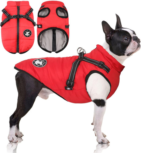 Dog coats waterproof - coats,