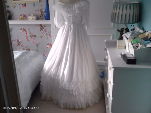 Gothic vintage ballgown