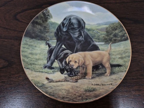 Franklin mint labrador plate - franklin,