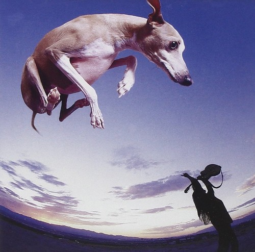 Paul gilbert and jimi - and, kidd
