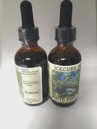 White pine needle triple - needle,