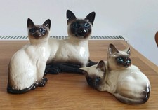 Family Of Royal Doulton Siamese Cat And Kittens 1559 1887 1296