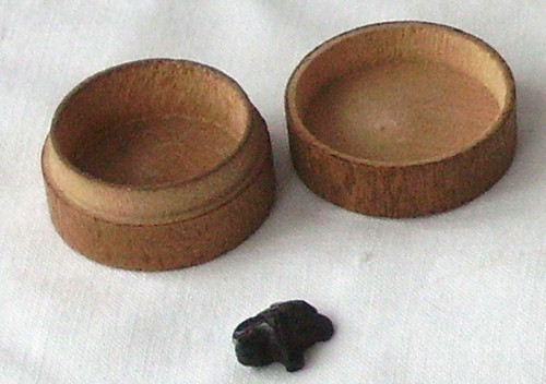 Miniscule black tortoise - miniscule, in