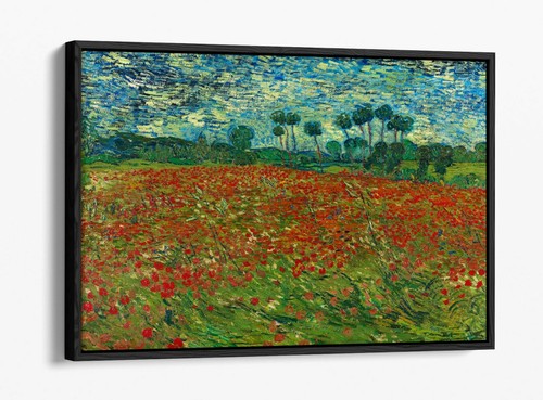 Van gogh poppy - van, field