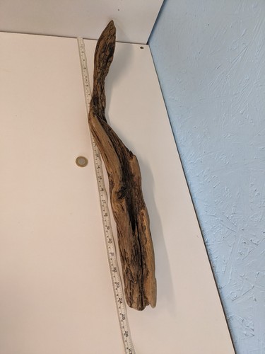 4847 decorative driftwood - decorative,
