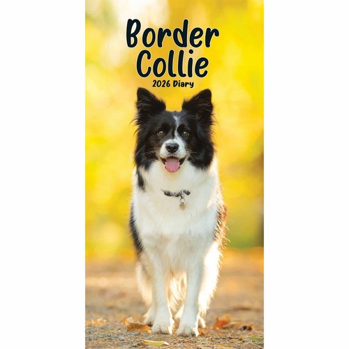 Border collies slim diary - collies,