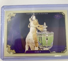 TOPPS ALLEN AND GINTER NBA 2023-2024 MISS P KENNEL CLUB SOS -18 .